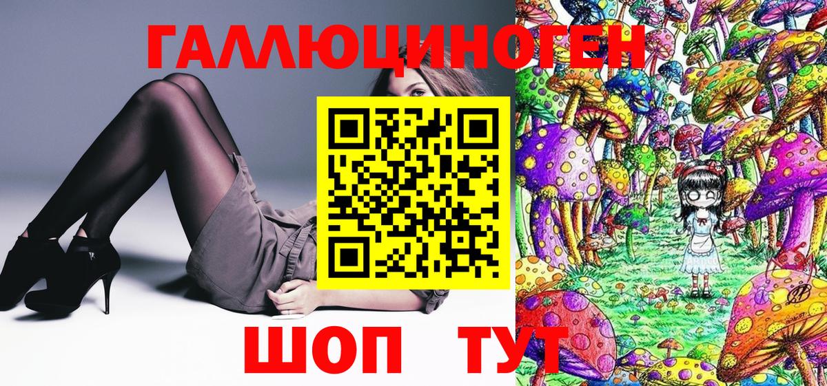 Псилоцибиновые грибы Psilocybe Феодосия