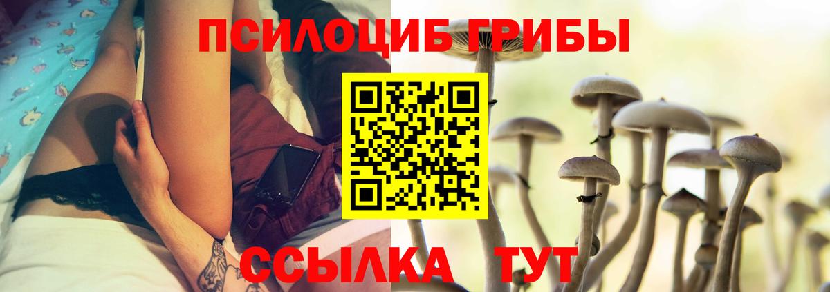 Псилоцибиновые грибы MAGIC MUSHROOMS  Вход с VPN  Феодосия 